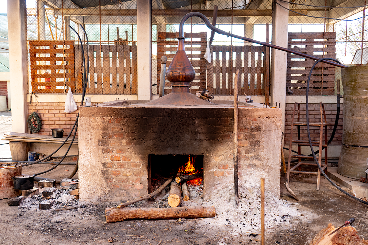 Destilador artesanal vinculado a la producción